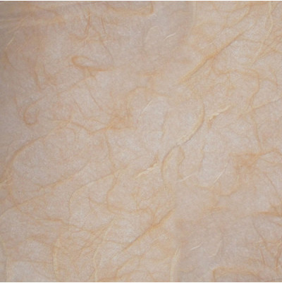 Ριζόχαρτο Μονόχρωμο 50X70cm 20gr Salmon