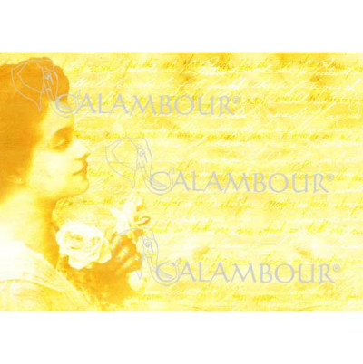 PAU64 34,5x49,5 cm 20gr