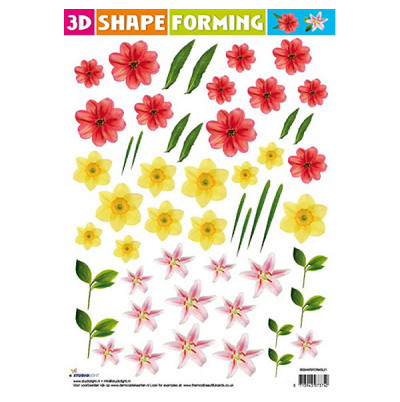 Ζελατίνη 3D Νο21