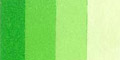60ml Spring Green 544 S4 ++ ST