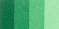 60ml Permanent Green 596 S6 ++ ST