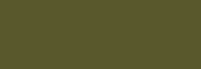 140ml Raw Umber 021 +++ O