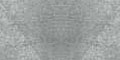 45ml Shimmer Silver 60