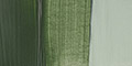 Green Earth 61 100ml +++ O