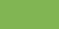 Light Green 041