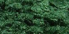 Mica Dark Green 100gr