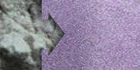 Mica Chameleon White-Purple 100gr