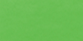 Light Green 601 30ml