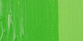 Permanent Green Light 618 40ml S2 +++ SO