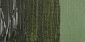 Olive Green 620 40ml S3 +++ T