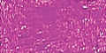 Red Violet 545,7 +++