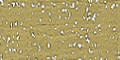 Light Gold 802,5 +++