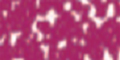 Permanent Rose 397,3 ++