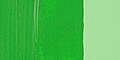 Permanent Green Light 618 120ml +++ SO