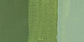 Olive Green Deep 622 120ml +++ O