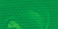 Permanent Green Light 618 750ml +++ SO