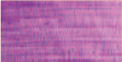 Pearl Violet 821 +++ O