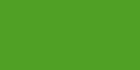 Pea Green 187