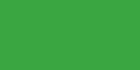 French Green 183