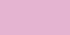 Cyclamen 134