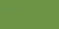Permanent Green Olive 167 +++